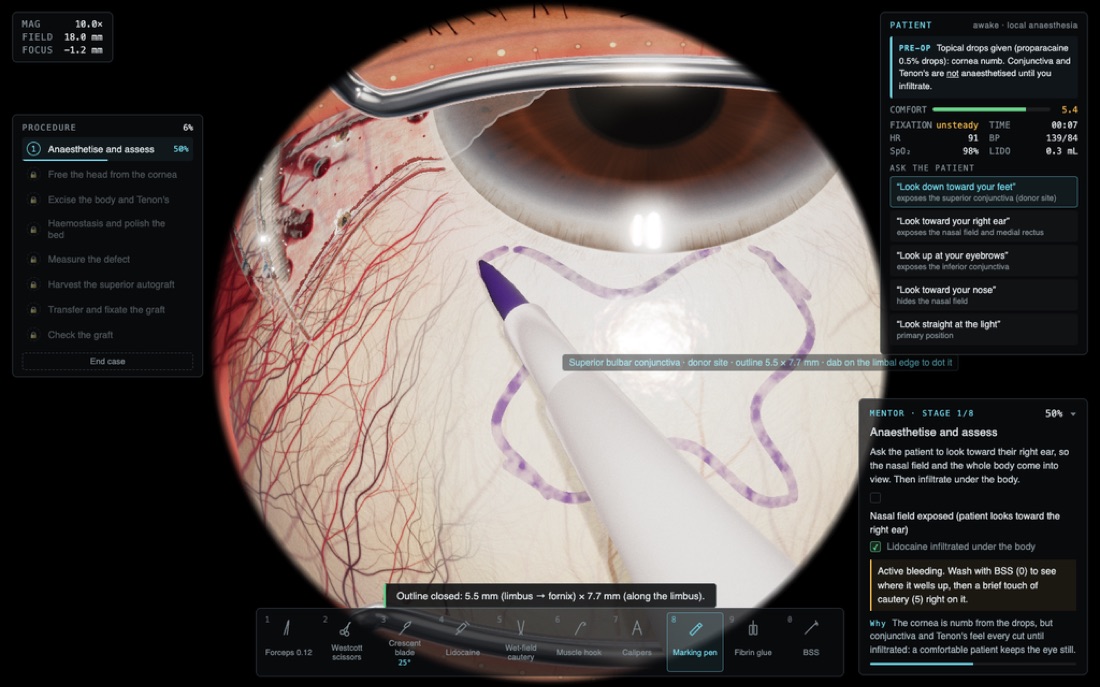 Pterygium simulator microscope view